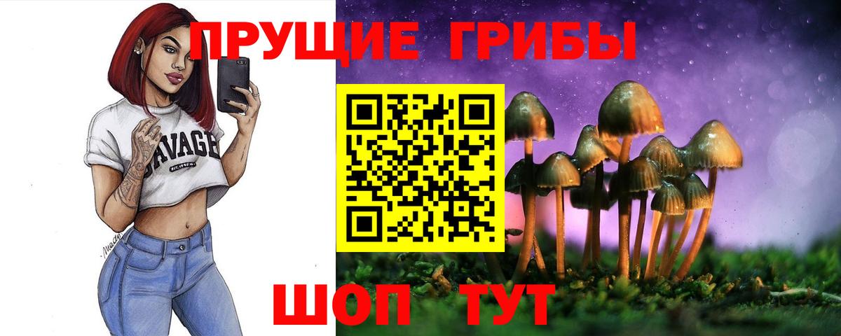 Ишим  Псилоцибиновые грибы мицелий  цены   Вход с VPN 