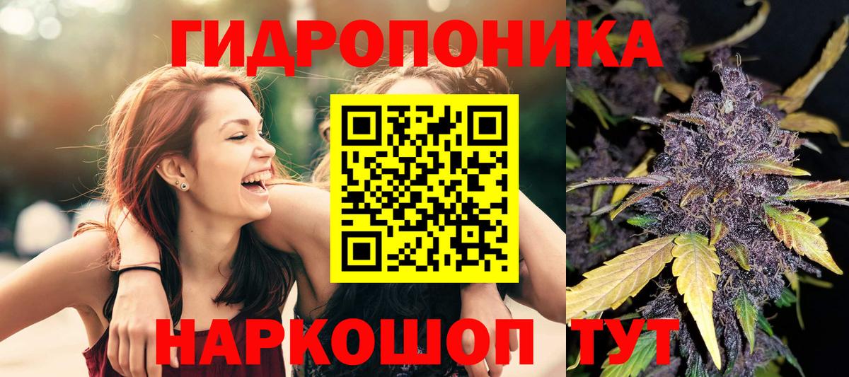 Ишим  Конопля THC 21%  Шишки марихуана марихуана  Шишки марихуана план  Вход с VPN 